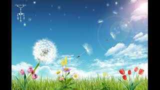 Donde Andaras José José