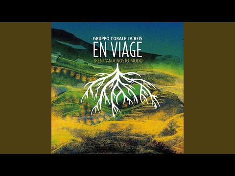 Le stellette che noi portiamo