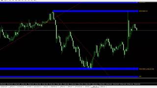 обжорчик за неделю.