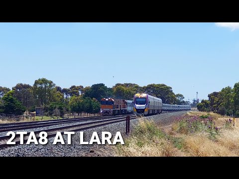 The Great Southern An A Vline Train Racing At Lara!