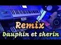 Remix - dauphinn et sherinn- روميكس الدوفان وشرين الأغنية التي أحدثت ضجة