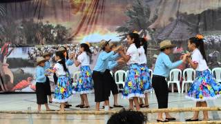 preview picture of video 'Grupo de Joropo Renacimiento criollo de Tame'