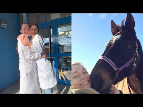 Physikum Anatomie 2020