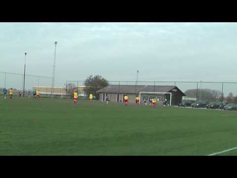 20091031 Veldkantevas DVC Iris op vrijschop 1 0