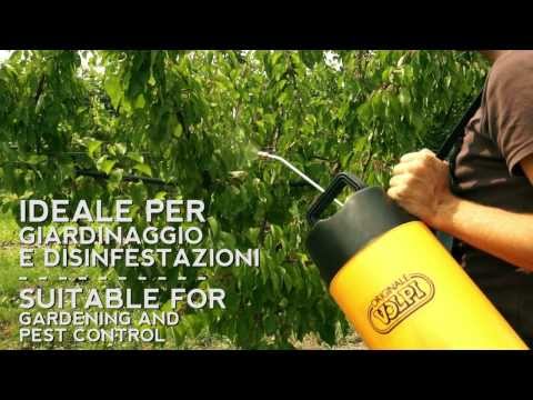 Danza terapia per la colonna cervicale in immagini Bende sul prezzo caviglia