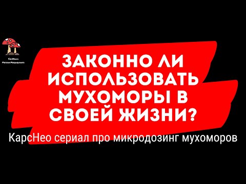🍄 5  СЕРИЯ: Законно ли использовать микродозинг мухоморов для себя и не запрещены ли вещества в нём?