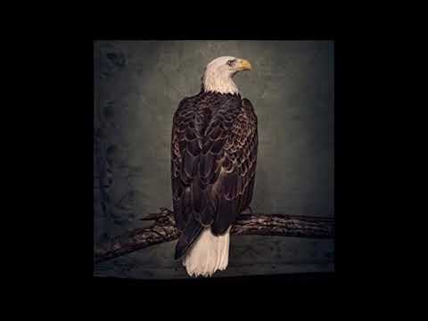 Videoclip de Vision Quest — Clutch