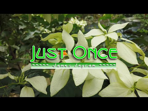 JUST ONCE - (4k Karaoke Version) - in the style of James Ingram