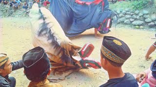 Download lagu Atraksi Barong Dan Mendeman LANGEN BUDOYO Perkutukan mp3