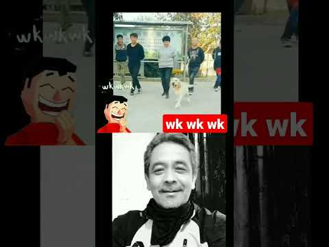 Aiya Susanti versi Lucu anjing joget #funnyvideo #funnydogs #dance #shorts