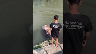 Download lagu Momen tak terlupakan Idul Adha 2024 ! Part 1, apakah terselamatkan ? #fyp #viralvideo #funny #shorts mp3 Download lagu Momen tak terlupakan Idul Adha 2024 ! Part 1, apakah terselamatkan ? #fyp #viralvideo #funny #shorts mp3