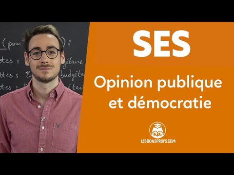 Opinion publique et démocratie