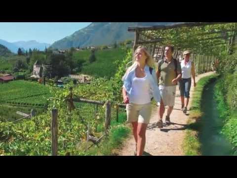 Waalwege durch das blühende Algund