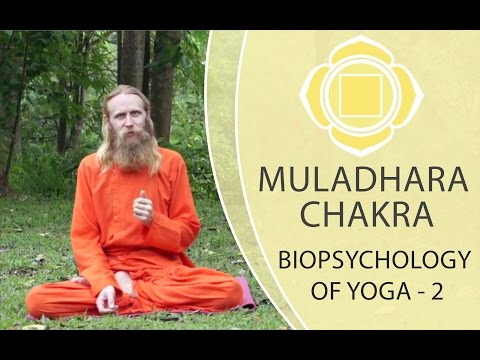 Biopsychology of Yoga - 2. Muladhara Chakra