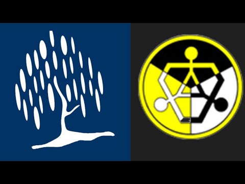 Willowfield School vs Norlington School | Norlington Batting Highlights | WF CUP