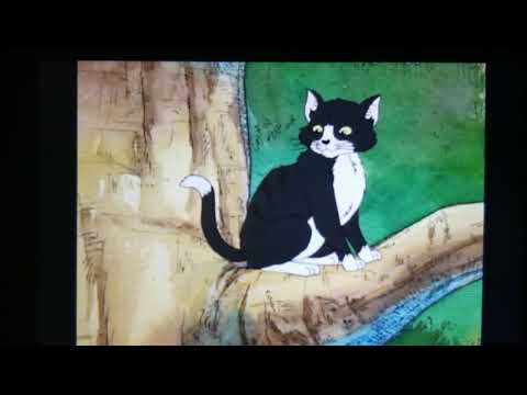 Cat - Where Lucy Went