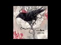 Calexico - Cruel
