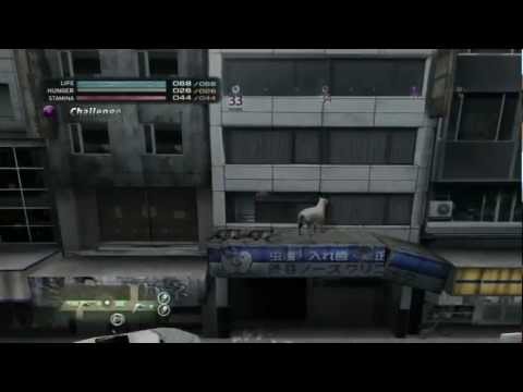 Tokyo Jungle - Cat @ 1142.36%