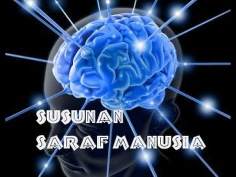 Disfungsi impotensi dan ereksi Torus palu para dewa Dirilis