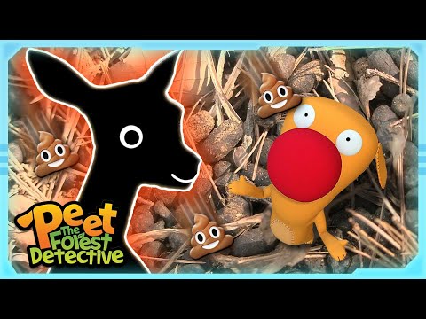 Mouse, Deer, & Mystery Poo! | Nature Stories For Kids | Peet The Forest Detective