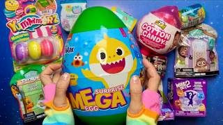 Opening a HUGE Baby Shark Mega Surprise Egg! 🦈 ASMR Toy Unboxing
