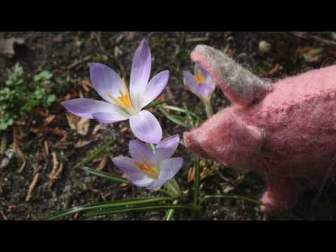 Paddy Pork´s Spring Waltz (Piggy´s Sad Waltz from The Adventures Of Paddy Pork)