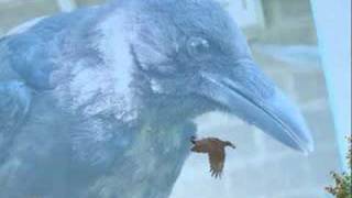 Kèr (It won't rain all the time)