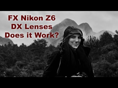 Nikon Z6 using DX Lenses at 10 mp. Does it Work?