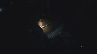 ［グロ注意］またやりたくなったので海外版バイオRE2