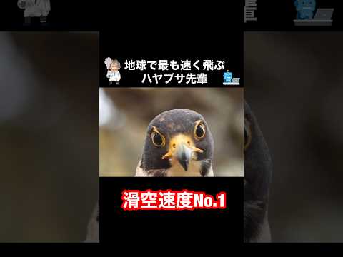 IUCN分類における絶滅の危険性を示す図。