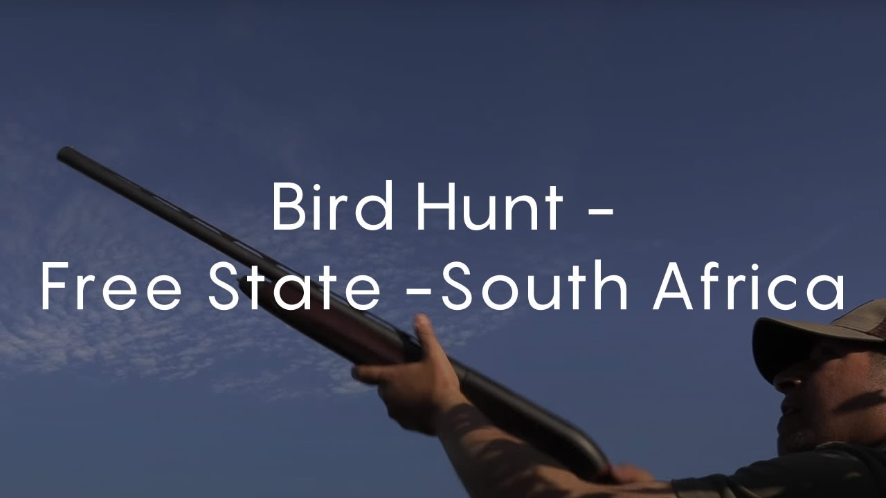 Bird Hunt - Free State - South Africa