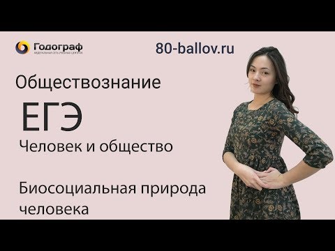 Видео 1