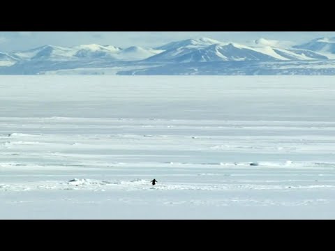 L'amour Toujours - Gigi D'Agostino (Constanze Hochwartner organ version)
