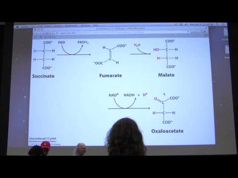 28.  Kevin Ahern's Biochemistry - Citric Acid Cycle II