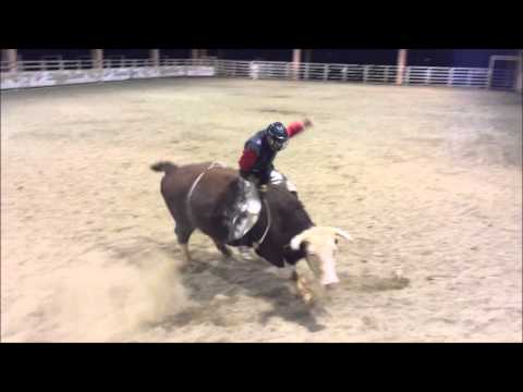 B&M Bullriding School with Ednei Caminhas