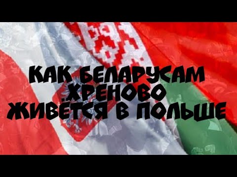 Как БЕЛАРУСАМ хреново живётся в ПОЛЬШЕ....ABW BY