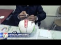 Презентация официального мяча ФФТ 