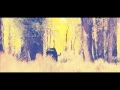 Great Wolf of No Tracks - Boduf Songs