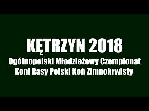 Ogólnopolski Młodzieżowy Czempionat Koni Rasy Polski Koń Zimnokrwisty - Kętrzyn 2018