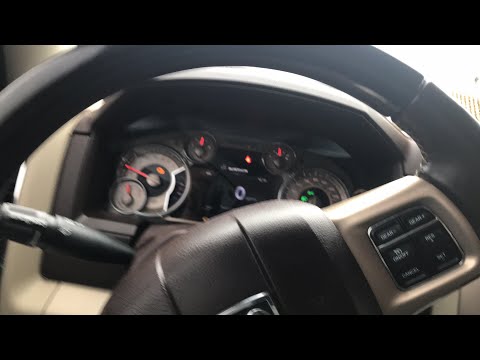 Carreras de caballos 🐎 Tennessee