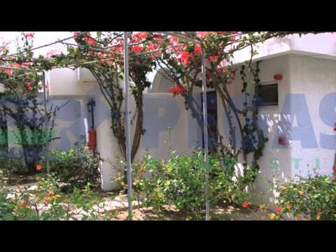 Blue Horizon Palm Beach Hotel & Bungalows 4* Греция