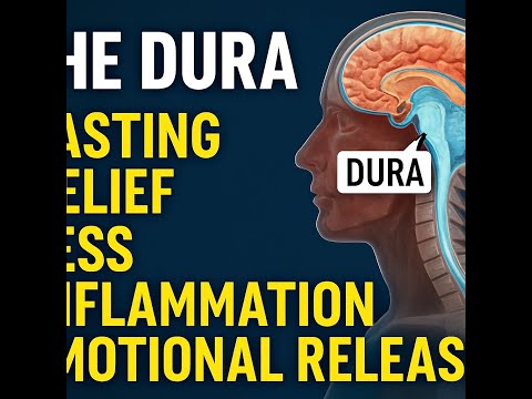 Dura Mater Deep Dive: What Your Doctor Never Told You