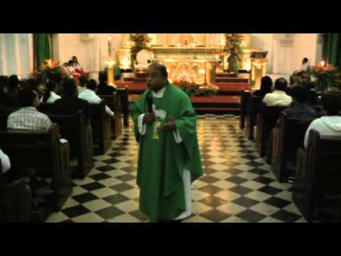 Evangelio y Homilía 02 10 2011