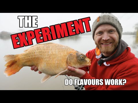 FEEDER FISHING for CARP - FLAVOURINGS - Part Two - Barston - Rob Wootton