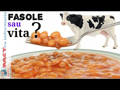 Ce S-ar Intampla Daca Am Inlocui Carnea De Vita Cu Fasolea ?
