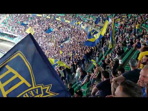 Verona Torino  GIALLO BLU