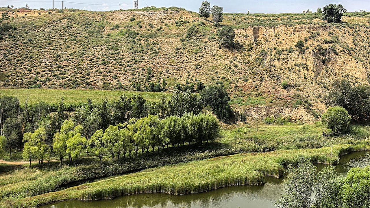 El camino hacia la prosperidad: la vida fluye, el desierto cura