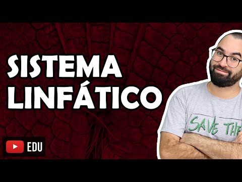 Sistema Linfático - Aula 26 - Módulo VII: Histologia e Fisiologia Humana | Prof. Gui