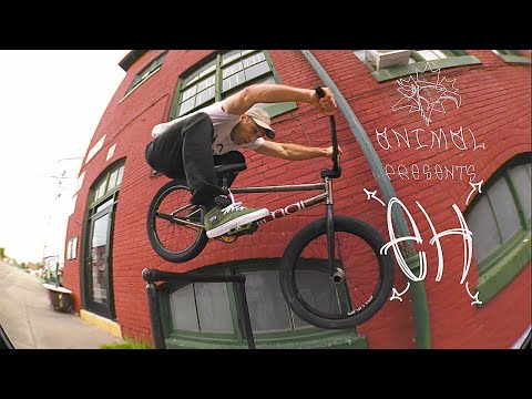 ANIMAL BIKES PRESENTS - 'EH'
