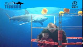 DIA 2 Expo Tiburon209